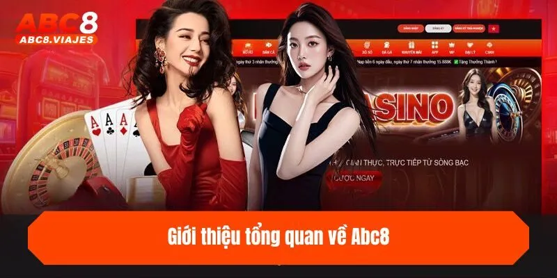trang chủ 22 Giới thiệu tổng quan về ABC8