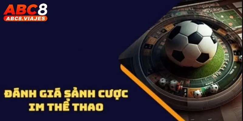 IM Sports ABC8 - Sảnh Thể Thao Chuẩn Quốc Tế Uy Tín Hàng Đầu 3 Điều gì làm nên sức hút của sảnh IM Sports?